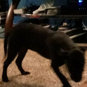 Meet your Posher, Sonja